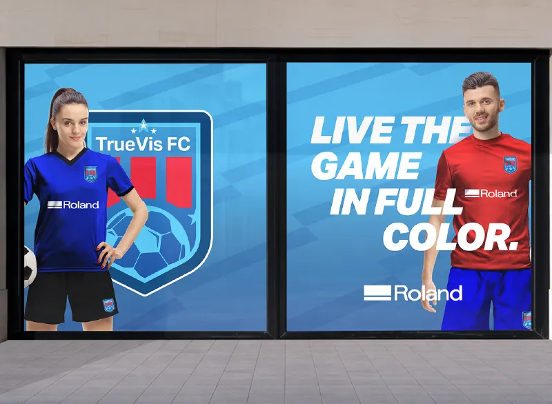Gráficos de ventanas impresos con TrueVis VG4