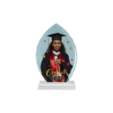 Placa de Reconocimiento Cristal (Hoja de Durazno) Sublimacion (C-14)