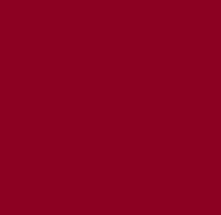 Hojas Vinil Textil Siser EasyWeed Bordeaux Burgundy - 12" x 12"