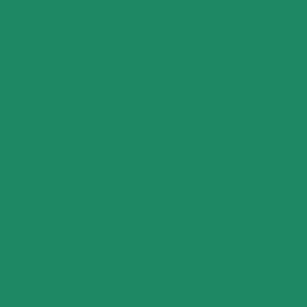 HOJAS 12''X12'' VINIL TEXTIL SISER EASY WEED CADETTE GREEN