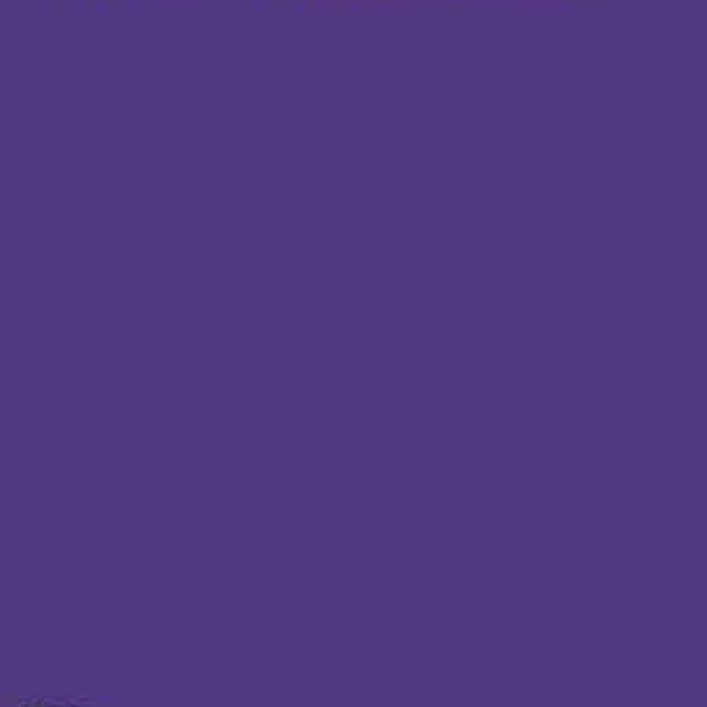 HOJAS 12''X12'' VINIL TEXTIL SISER EASY WEED WICKED PURPLE