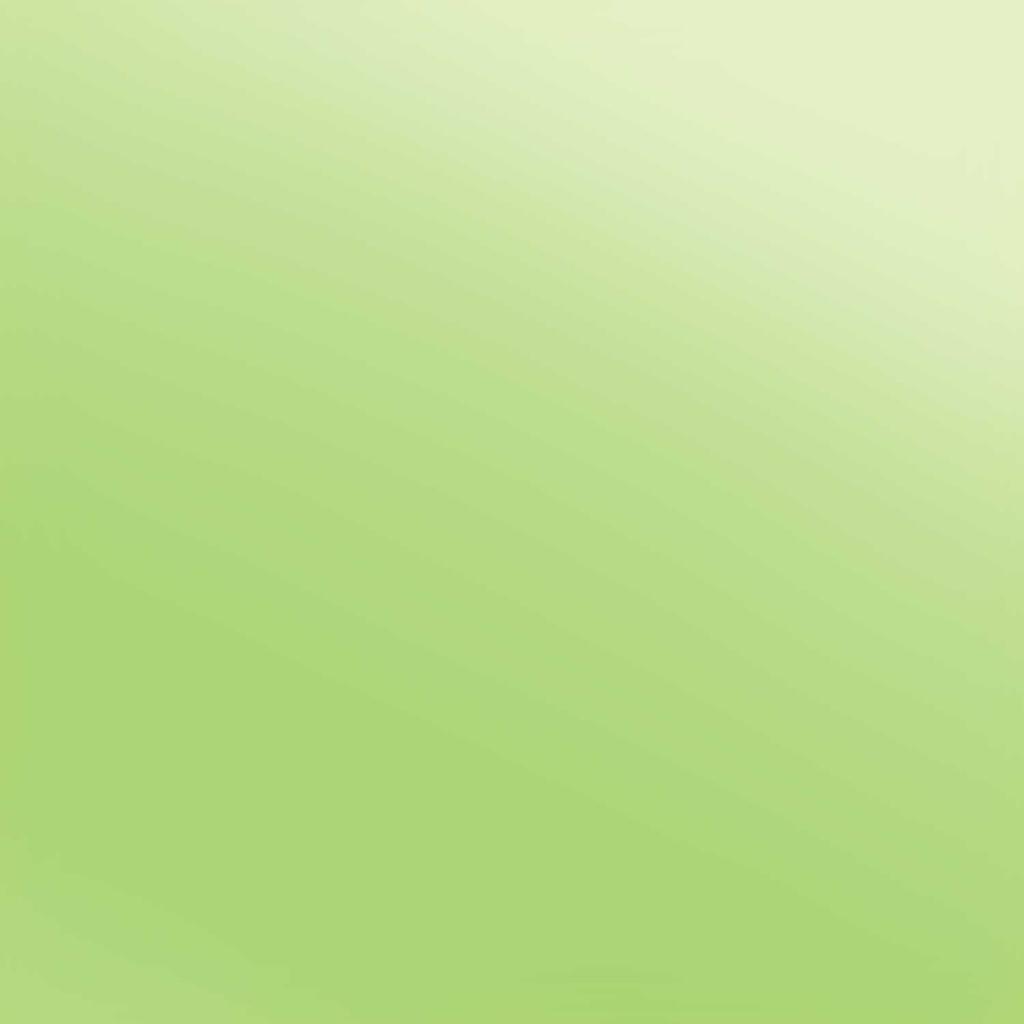 Hojas Textil Siser EasyWeed Electric Lime - 15" x 12"