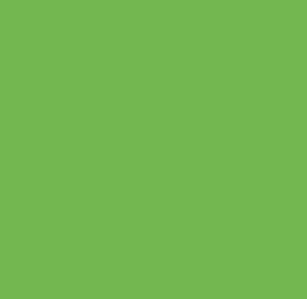 HOJAS 15''X12'' VINIL TEXTIL SISER EASY WEED GREEN APPLE