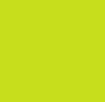HOJAS 15''X12'' VINIL TEXTIL SISER EASY WEED LIME
