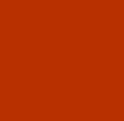HOJAS 15''X12" VINIL TEXTIL SISER EASY WEED TEXAS ORANGE