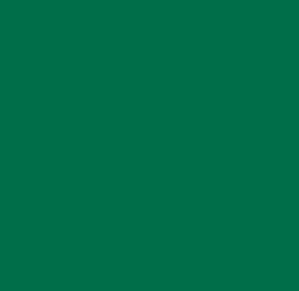 Hojas Vinil Textil Green EasyWeed 12"x19.75"