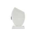 Placa de Reconocimiento Cristal (Bisel Simple) Sublimacion (C-12)